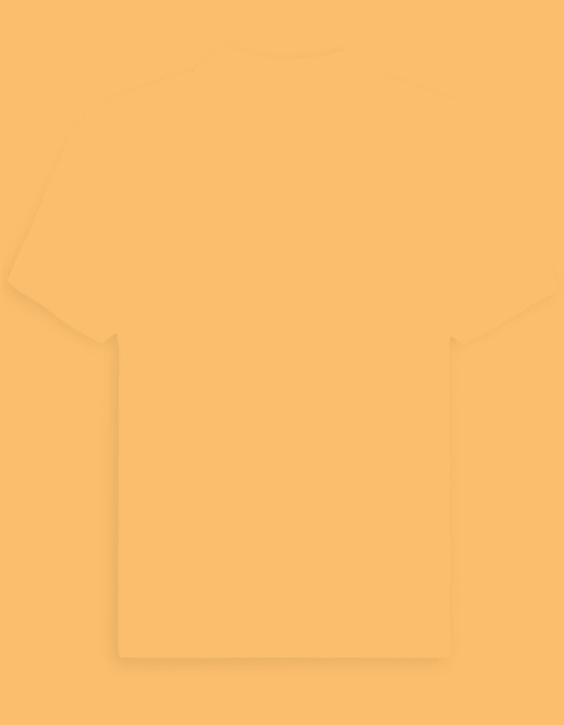 Back_3_c_4.jpg