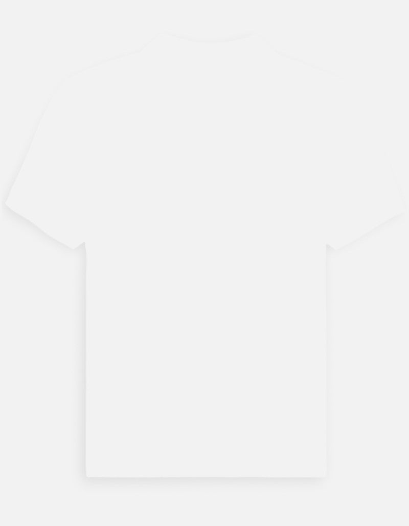 Back_3_c_4.jpg